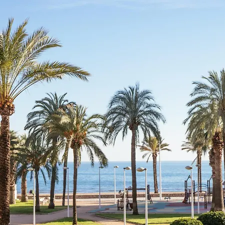 Almar Collection At *